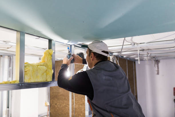 Best Cellulose Insulation in Stewart Manor, NY
